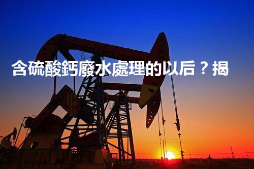 含硫酸鈣廢水處理的以后？揭秘行業(yè)領(lǐng)先技術(shù)！